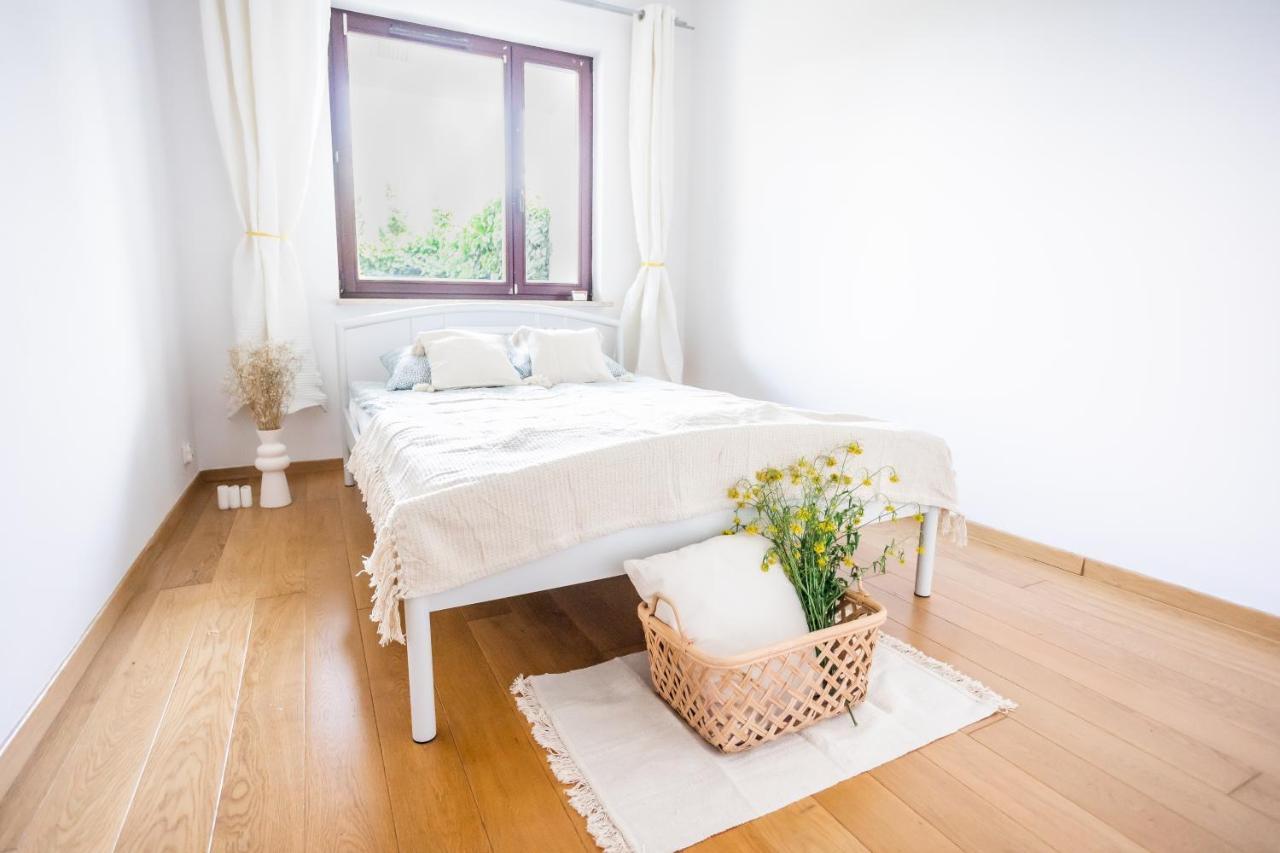 Super Kocjana Apartament